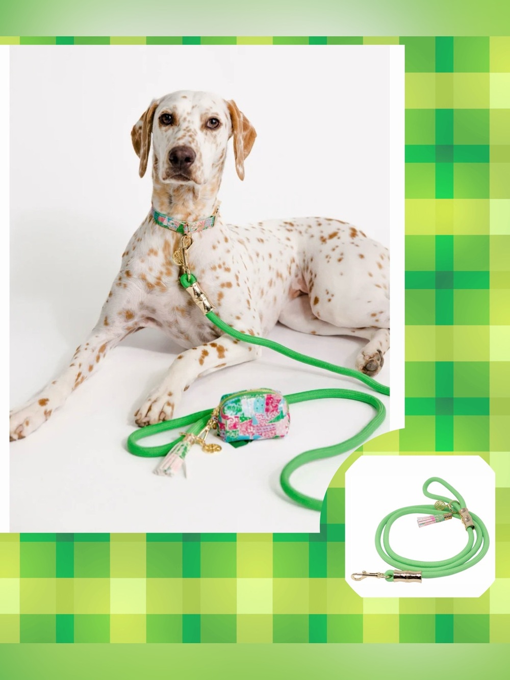 Lilly Pulitzer Green Braided Pet Dog Leash Gold Charms 60” new